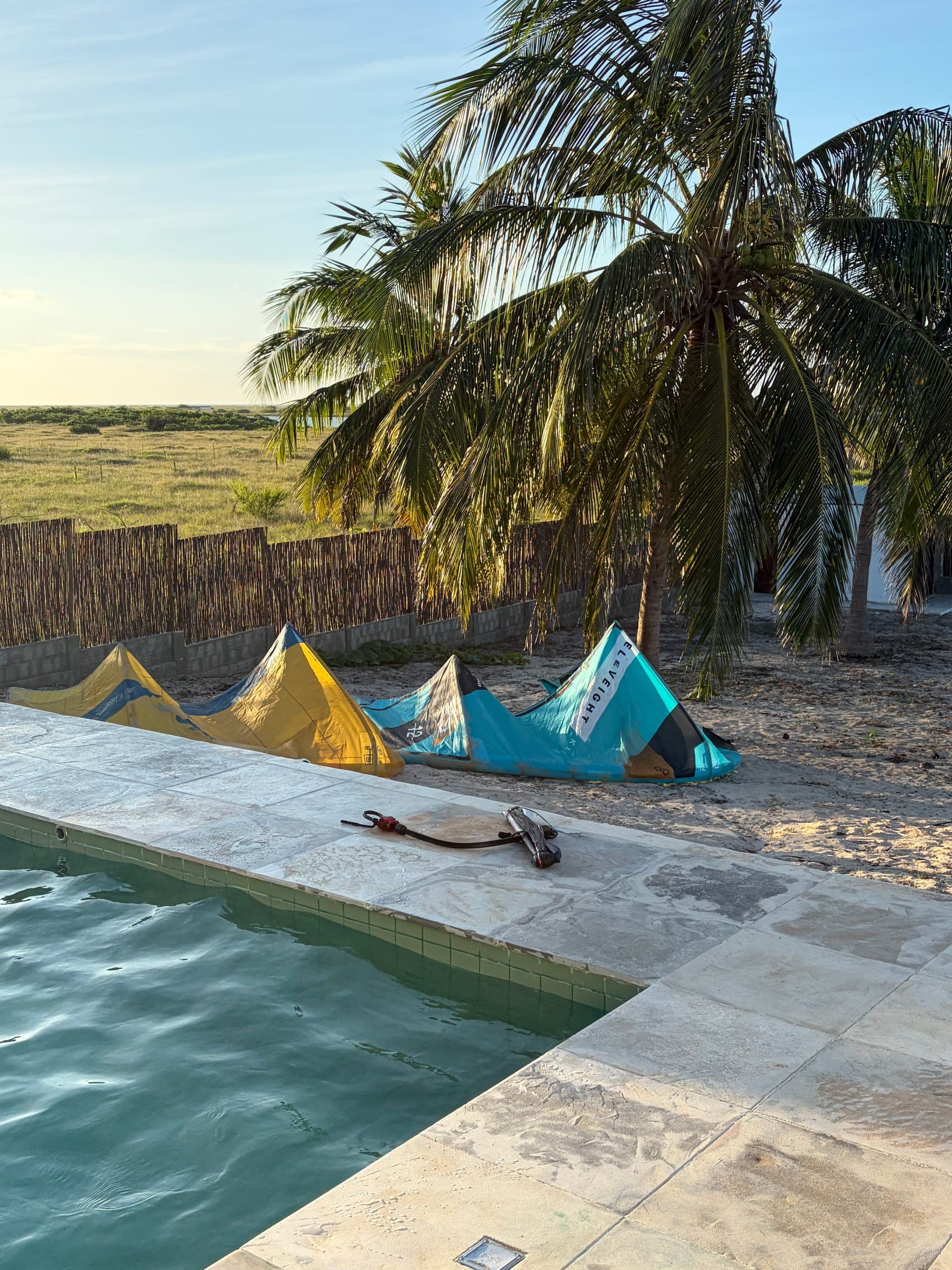 Ailes de kite posées au bord de la piscine, sous les cocotiers